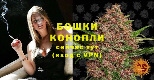 дурь Волосово