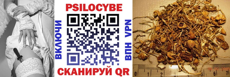 Галлюциногенные грибы Cubensis  Оханск 