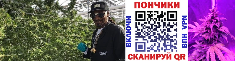 Конопля Amnesia Оханск